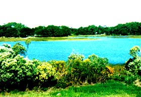 water view at The Reserve at Masonboro
