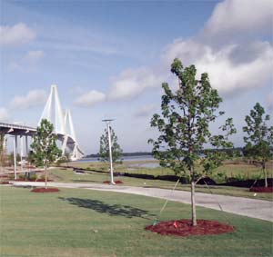 photo of Mount Pleasant's Waterfront Park with the Arthur Ravenel Jr. Bridge in the background