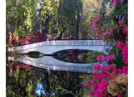 A picture of a bridge, water, and flowers. - Magnolia Gardens