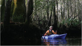 Pictured here is a man kayaking.