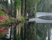 A picture of a bridge, water, and flowers. - Magnolia Gardens - thumbnail size - Click on picture to read article.